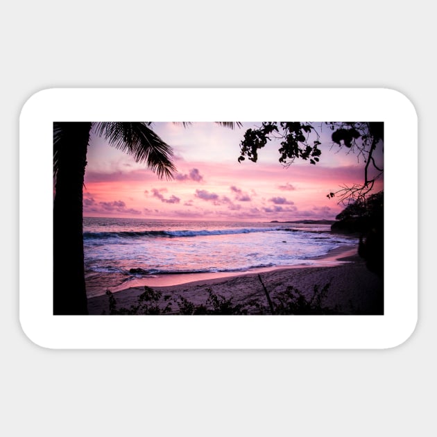 Pink Sunset Beach Sticker by NewburyBoutique